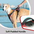 thumbnail image 6 of PHOEPET 2019 Upgraded No Pull Dog Harness, Reflective Adjustable Vest, with a Training Handle + 2 Metal Leash Hooks+ 3 Snap Buckles +4 Slide Buckles, 6 of 8