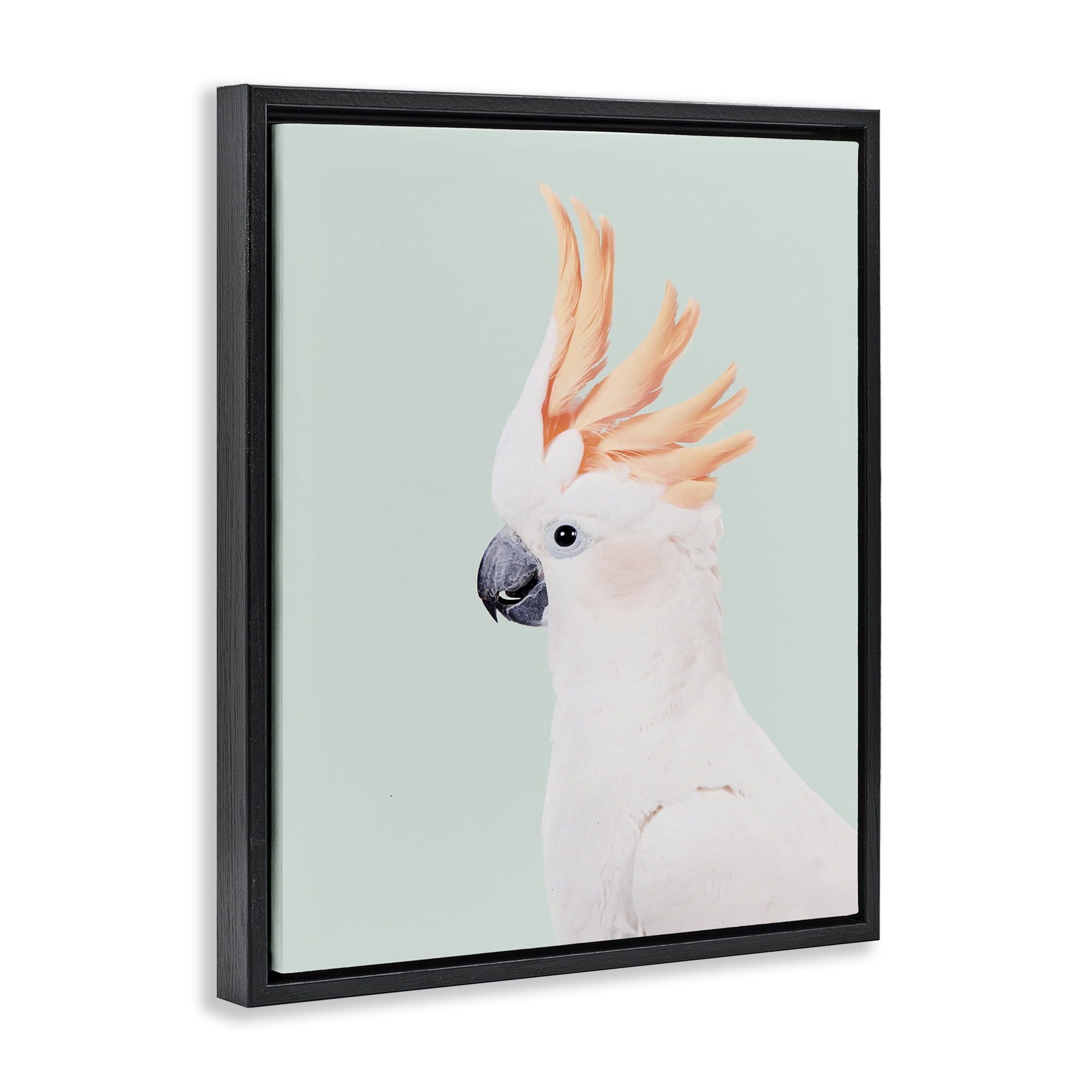 Stupell Industries White Cockatoo Portrait Animals Painting Black Floater Framed Canvas Art Print Wall Art, 25 x 31