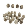 thumbnail image 4 of oshhni 20Pcs Decorative Resin Stones Pathway Lawn Courtyard Yard Mini Dinosaur Eggs, 4 of 9