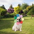 thumbnail image 3 of Funworld Flower Petal Hood Pet Costume | S/M Unisex, 3 of 6