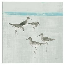 Sandpipers Square I Gray by Avery Tillmon Canvas Art Print