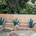 thumbnail image 3 of Rustic Hand Painted Metal Agave Sculpture, DIY Outdoor Garden Yard Art, 3 of 7