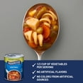 thumbnail image 4 of Progresso Vegetable Soup, Vegetable Classics Canned Soup, 19 oz, 4 of 15