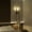 Black, variant on Ozarke Dua Lux Wall Light Indoor Wall Sconce Lighting Fixtures, Cordless Wall Mount Crystal Lamp for Living Room, Bedroom, Hard Wired, UL Listed Warm 3000K (Silver)