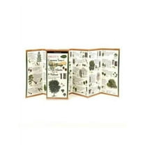 FoldingGuides: Sibley's Common Trees of Trails & Forests of the Mid-Atlantic & Midwest (Other)