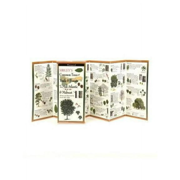 FoldingGuides: Sibley's Common Trees of Trails & Forests of the Mid-Atlantic & Midwest (Other)
