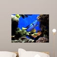 thumbnail image 1 of Finding Nemo's Dory Wall Mural by Wallmonkeys Peel and Stick Graphic (24 in W x 18 in H) WM74809, 1 of 4