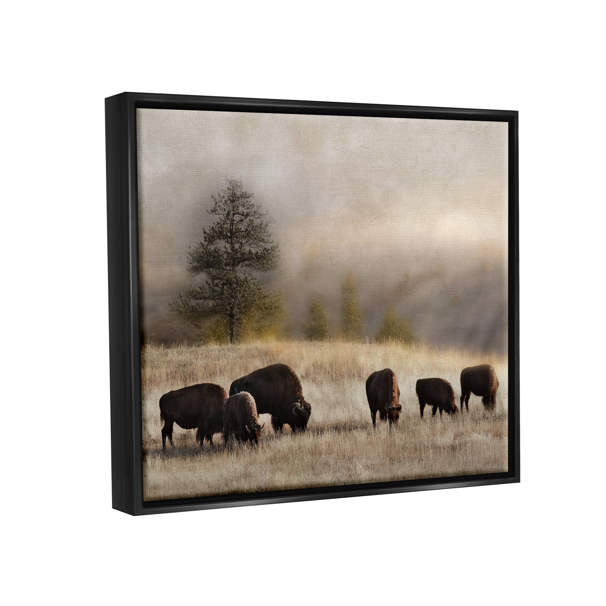 Stupell Industries Grazing Bison Rural Grassland Meadow Panoramic Scene Photograph Jet Black Floating Framed Canvas Print Wall Art, Design by Danita Delimont