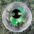 thumbnail image 4 of SHOWERORO 6Ud Cubierta Para Plantas Transparente Resistente Uv Con Clavos Y Etiquetas Para Jardín, 4 of 7