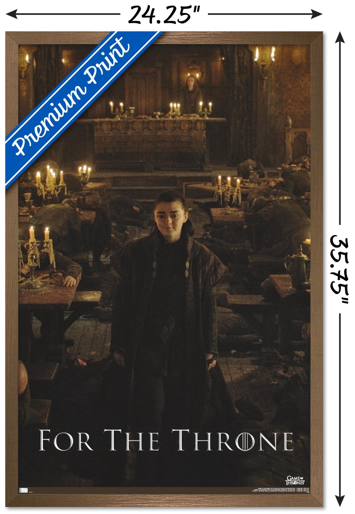 Game of Thrones - Arya Stark Wall Poster, 22.375" x 34", Framed