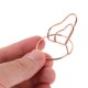 thumbnail image 5 of WASHWEPE 30Ud Clips Para Notas Y Tarjetas Multifuncionales Con En Forma Multicolor, 5 of 8