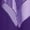 Purple, variant on Women Liturgical Praise Dance Outfits Sleeveless Irregular Hem Overlay Dress with Pants Set Purple S