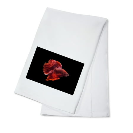 Red Siamese Fighting Fish - Lantern Press Photography (100% Cotton Kitchen