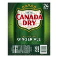 thumbnail image 5 of Canada Dry Caffeine Free Ginger Ale Soda Pop, 12 fl oz, 24 Pack Cans, 5 of 14