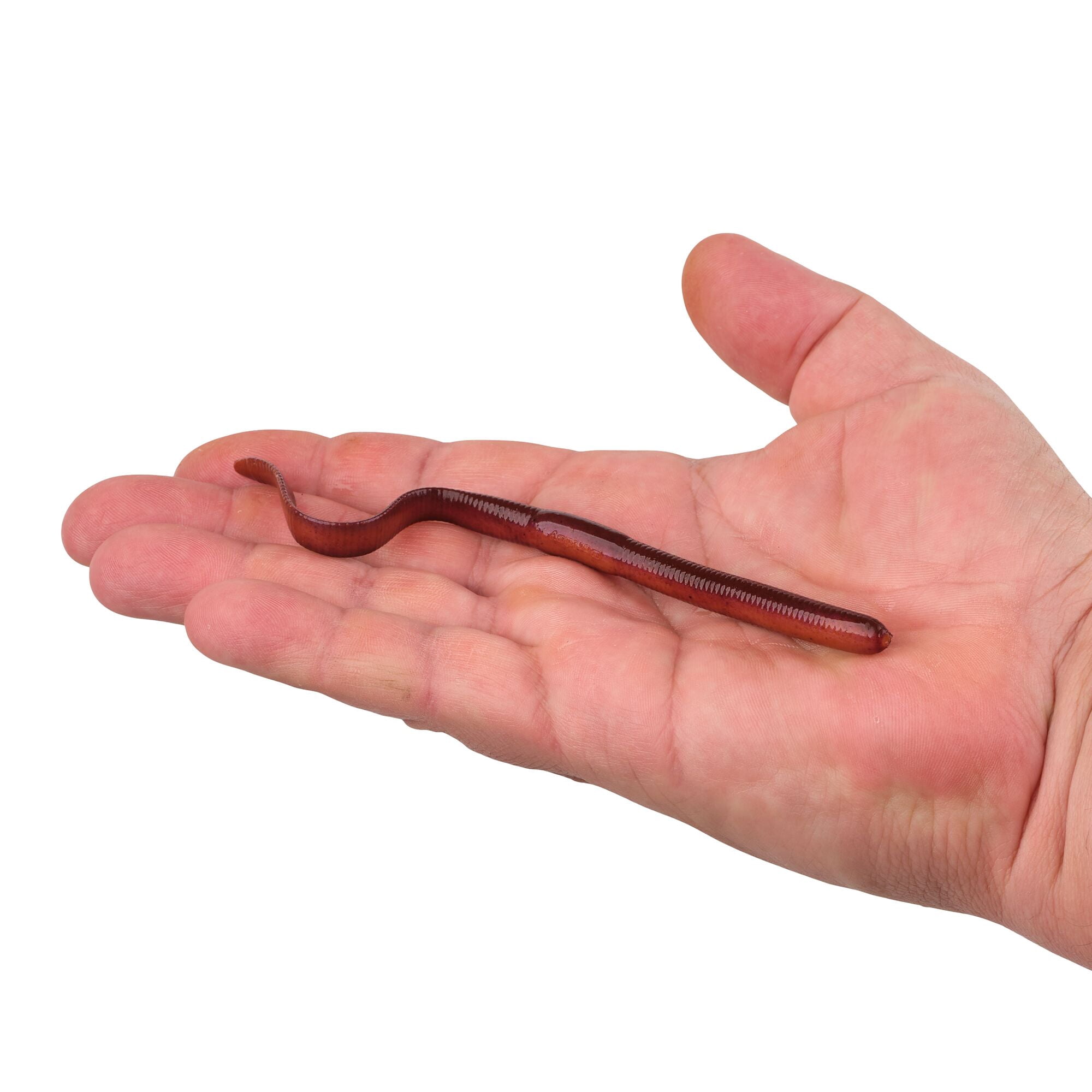 Berkley Gulp!® SR Crawler, 7 in, Worms, Nightcrawler (12 Count)
