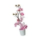 thumbnail image 5 of Jarrón flores artificiales en maceta, moderno, con púas, flores artificiales en maceta, bonsái secas para el hogar, oficina y el escritorio. Rosa, 5 of 8