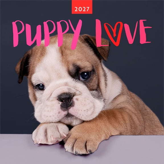 Puppy Love | 2027 12x24" (Hanging) Wall Calendar | Plastic-Free | BrownTrout