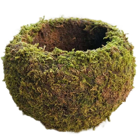 Kokedama Planting Container, Moss Ball Planter for Bonsai or Houseplant for Garden Use 6Inch