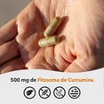 thumbnail image 2 of LifeSeasons Essentials Meriva Turmeric - Curcumin Phytosome Supplement - Supports Muscles Joints Bones & Liver - Enhance Circulation & Heart Health - Eases Body Stiffness & Aches - 60 Capsules, 2 of 5
