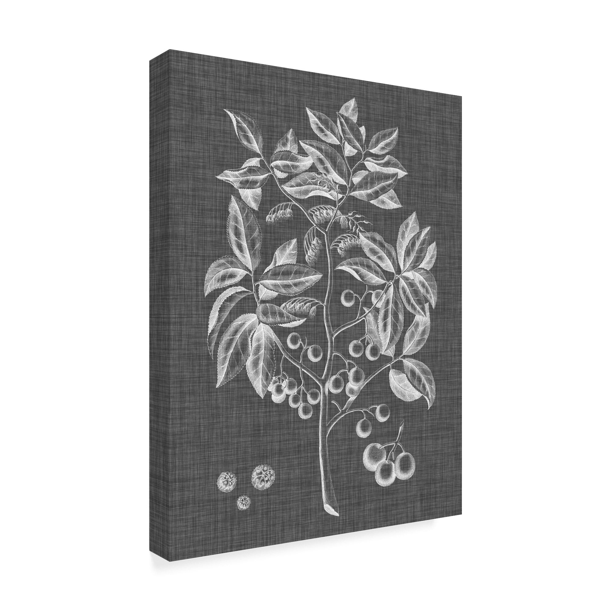 Trademark Fine Art 'Graphic Foliage VI' Canvas Art by Vision Studio