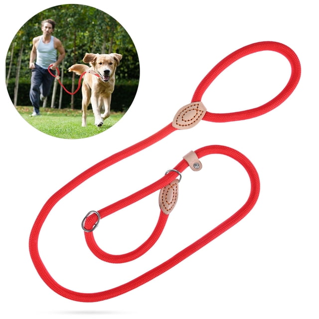 HEALEEP Pet Training Leash Nylon Heavy Duty Dog Lead for Large Dogs Durable Easy to Wear and Remove 1Set