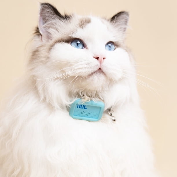Collar inteligente antipérdida para mascotas, dispositivo antipérdida, localizador inteligente para mascotas, alarma, rastreador antipérdida para gatos y perros.
