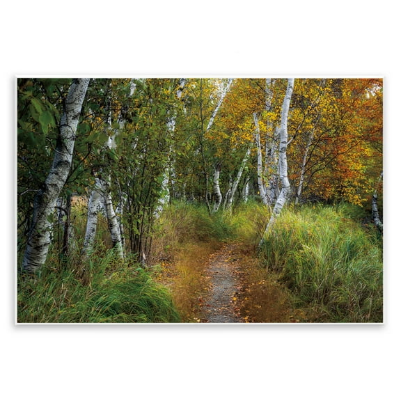 Stupell Industries Walk In The Hemlocks Forest Wall Plaque Art design by D. Burt, 10 x 15