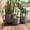 Gray, variant on Mintazer Modern Planter Set of 3, 16.93"+13.78"+11.02" Round Stackable Flower Pots with Drainage Holes and Rubber Plug, Crackle Stone Texture Decorative Plant Pots for Indoor & Outdoor, Gray