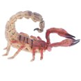thumbnail image 1 of Escorpión de Simulación Sunnimix Juguete Realista Pintado a Mano Materiales Seguros Sin BPA para Edades de 3 años en Adelante Figuras de juguete animal, 1 of 7