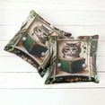 thumbnail image 2 of Ambesonne Cat Throw Pillow Cover Pack of 2, Botanical Cozy Concept Bookworm, 2 Pcs-36"x16", Green Paprika Beige, 2 of 5