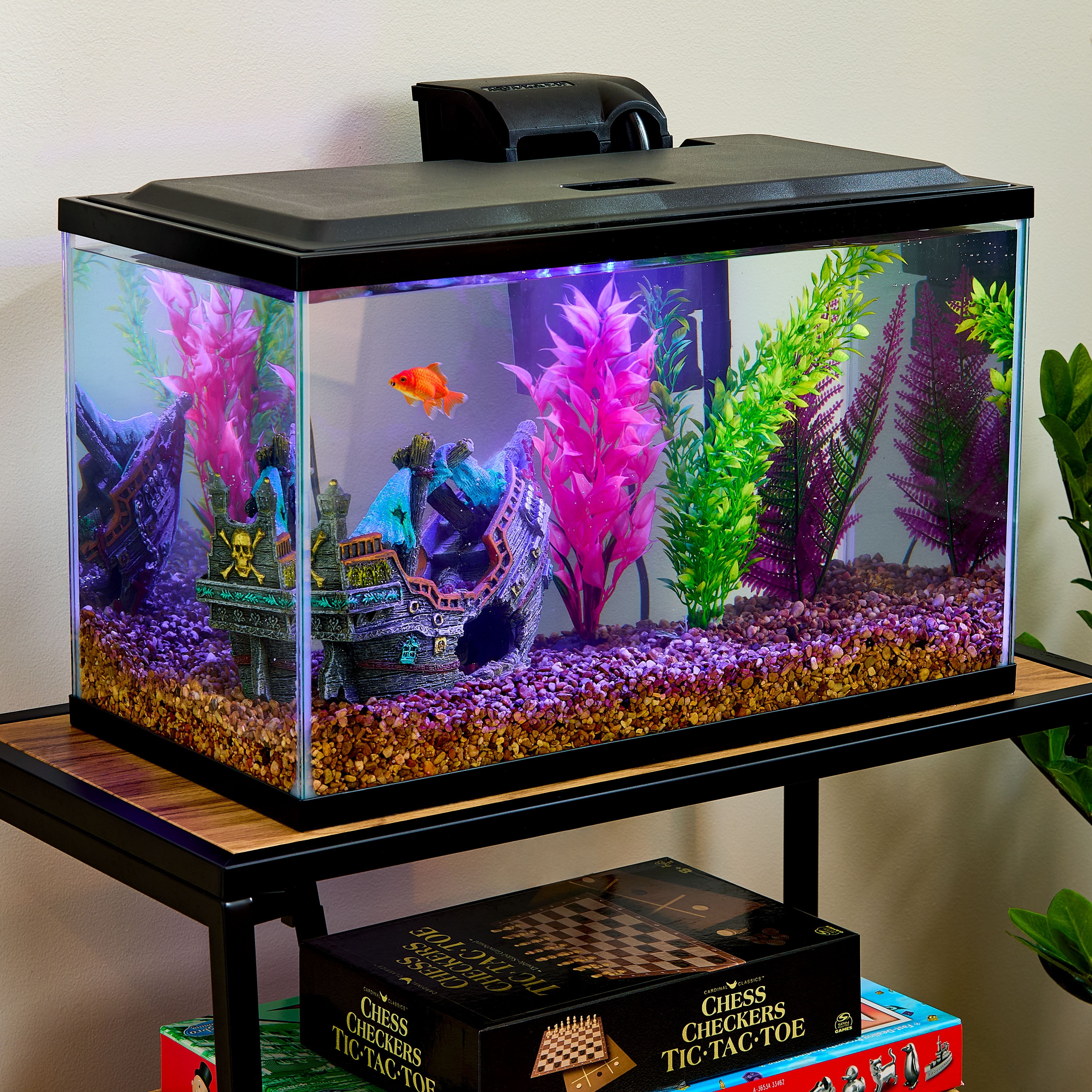Vibrant Life 10 Gallon Aquarium Starter Kit with Blue & White LED Lights