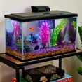 thumbnail image 2 of Vibrant Life 10 Gallon Aquarium Starter Kit with Blue & White LED Lights, 2 of 9