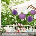 thumbnail image 7 of NOGIS Purple White Party Decorations 12 Pcs Round Chinese Paper Lanterns Paper Lanterns Decorative for Wedding Graduation Anniversary Birthday Party Decorations, 7 of 7