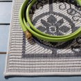 thumbnail image 3 of Safavieh Bermuda Zoey Floral Bordered Outdoor Area Rug, 3 of 5