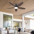 thumbnail image 1 of PHORUS 42″ Brown Low Profile Flush Mount Ceiling Fan with Dimmable LED Light, Remote & App Control, Quiet DC Motor, 6 Speeds, Reversible Blades, Indoor & Covered Outdoor, 1 of 22