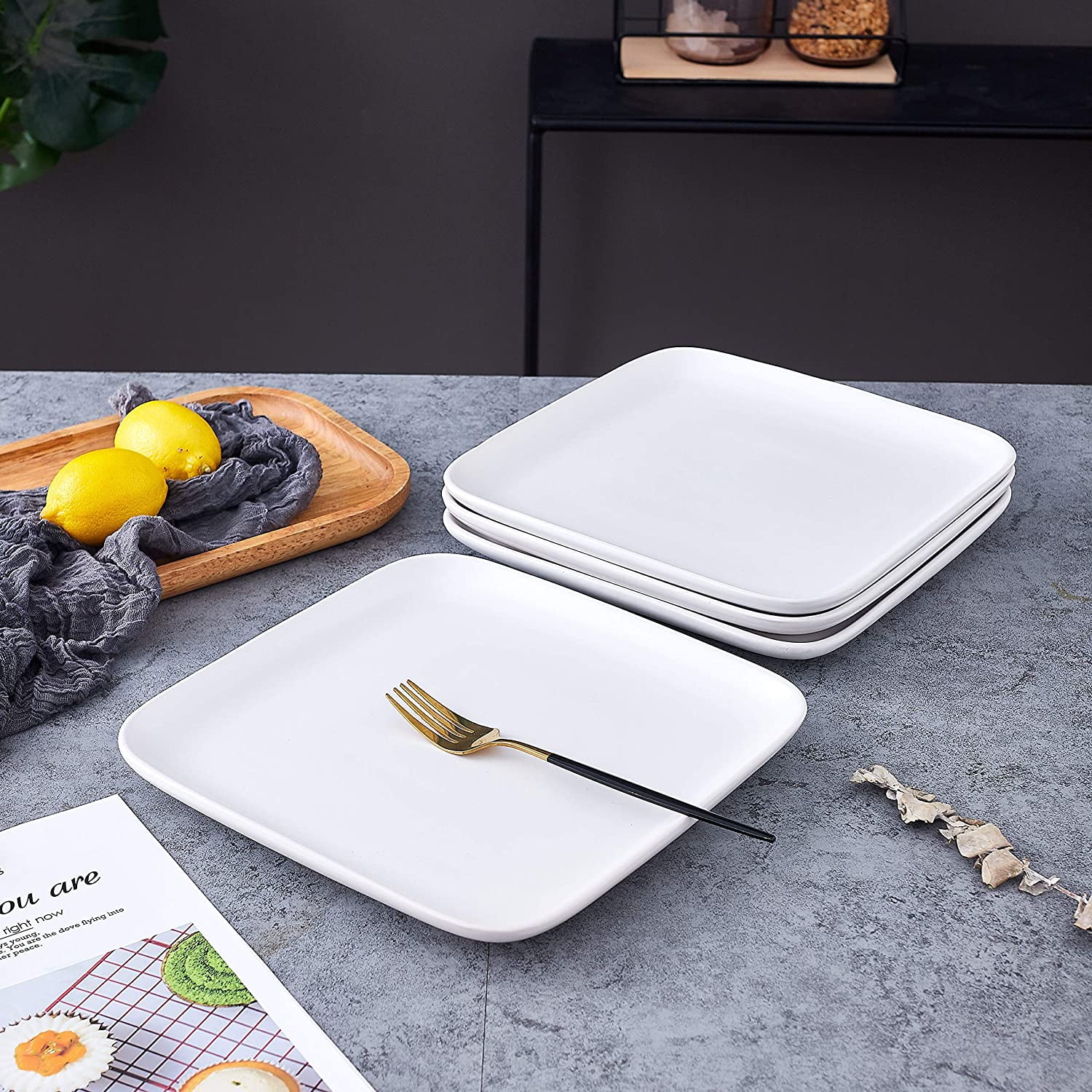 Bruntmor 10 Inch Set Of 4 Heavy Duty Ceramic Dinner Plates Elegant