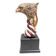 thumbnail image 5 of Patriotic Bald Eagle On USA Star Spangled Banner Flag Bust Electroplated Statue, 5 of 7