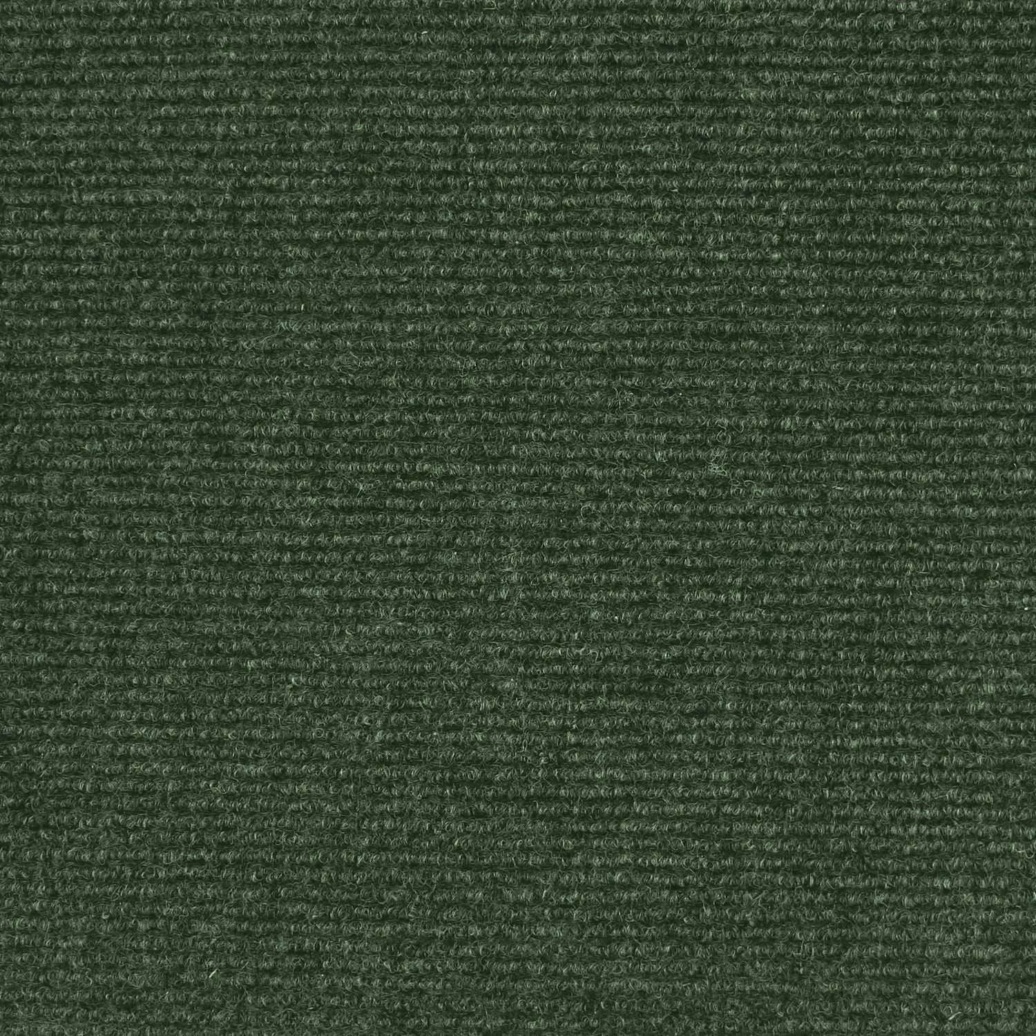 6 ft. x 8 ft. Green Indoor Outdoor Rug