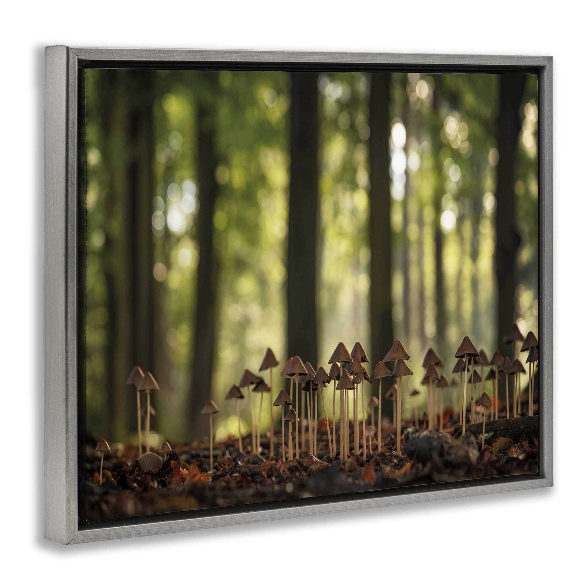 Stupell Industries Mushroom Sprouts in Forest Botanical & Floral Photography Gray Floater Framed Art Print Wall Art, 31 x 25