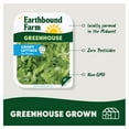 thumbnail image 3 of Earthbound Farm Crispy Greenhouse Lettuce 4 oz, 3 of 6