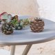 thumbnail image 3 of Squirrel succulent flower pots, Cute resin planter, Desk garden room decor, Small space plant pot, Home office decor, Unique desktop accent, Lightweight resin material, For bedroom styling, 3 of 8