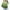 Green, variant on ibuvkizy Girls Sweatshirt Clearance!Graphic Sweatshirts for Teen Girls Crewneck Oversized Sweatshirt Kids Fashion Long Sleeve Pullover Tops 1-12 Years