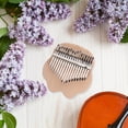 thumbnail image 5 of BEADCEST Assorted Color 17 Key Kalimba Thumb Piano for Beginners Portable Music Instrument Made of Wood and Stainless Steel, 5 of 5