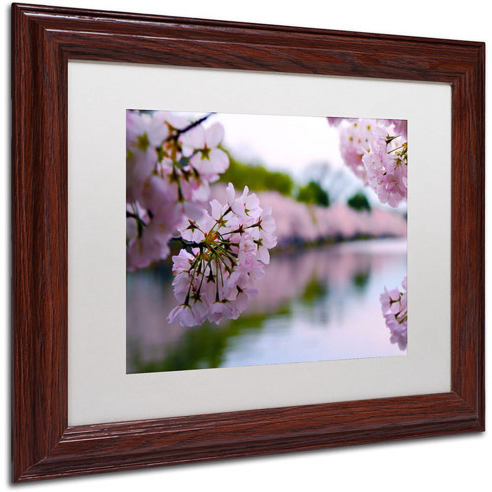 Trademark Fine Art "Cherry Blossoms 2014-2" Canvas Art by CATeyes, White Matte, Wood Frame