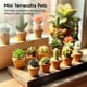 thumbnail image 2 of 50 mini macetas de terracota, macetas suculentas de 1,2 pulgadas con agujeros de drenaje, maceteros de flores de cactus en miniatura, pequeñas macetas de terracota de arcilla para plantas de interior, 2 of 6