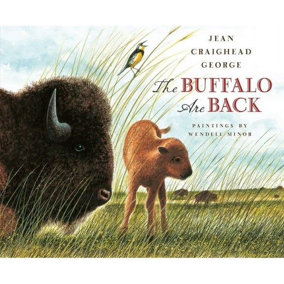 The Buffalo Are Back, (Paperback)