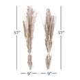 thumbnail image 3 of 57" Dried Plant Natural Foliage Pigeon pea Bouquet, by DecMode (2 Count), 3 of 9