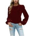 thumbnail image 3 of VKOYWKM Velvet Tops for Women Vintage Puff Long Sleeve Soft Velour Shirts Crew Neck Dressy Casual Blouses Trendy Spring Fall Basic Shirt, 3 of 6