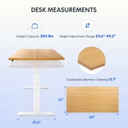 FLEXISPOT 60x30 Dual Motors 3-Stage Height Adjustable Standing Desk Ergonomic Home Office Sit Stand Desk with USB Port, Bamboo Rectangle Desktop White Oval Frame
