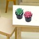 thumbnail image 2 of 10 Uds Mini casa Cactus suculento plantas pequeñas modelo pequeñas suculentas en maceta, 2 of 6
